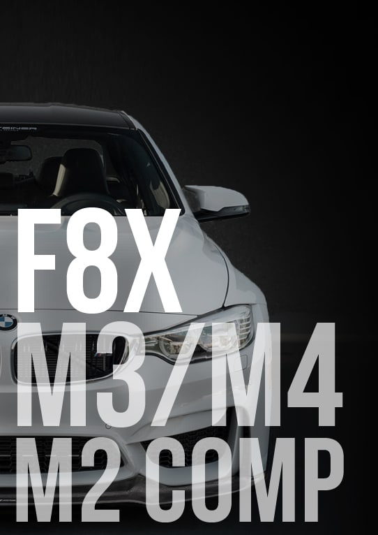 BMW M2 F87N